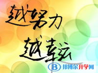 2020年內江如何填中考學校