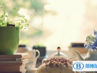2020年內江中考后多久可以查詢