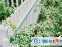 2020年內江中考報名網址