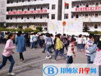 樂至大佛中學2025年學費、收費多少