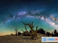 2020年自貢中考網(wǎng)絡(luò)應(yīng)用服務(wù)平臺成績查詢