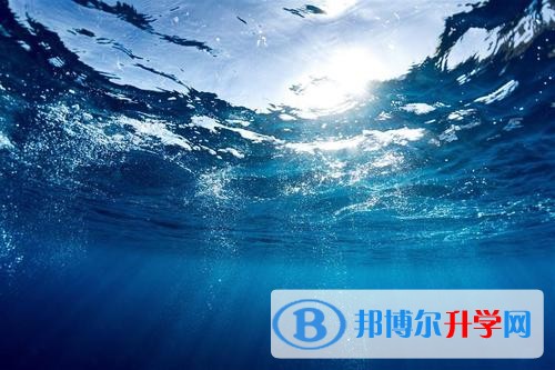 2020年自貢中考查詢(xún)