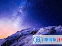 2020年自貢中考查詢網
