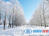2020年自貢中考查詢網址