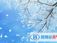 2020年自貢中考必考題