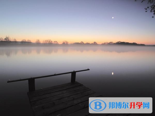 2020年自貢中考報名網站登錄
