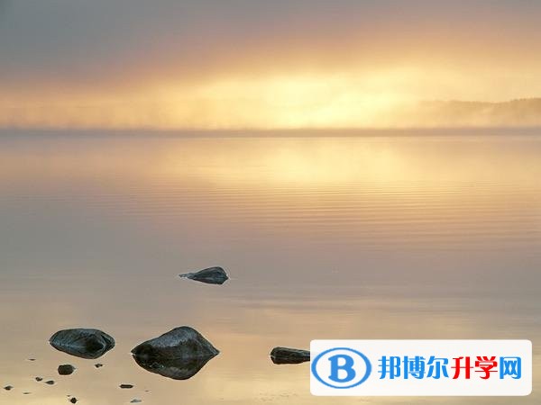 2020年樂山考起重高的人數