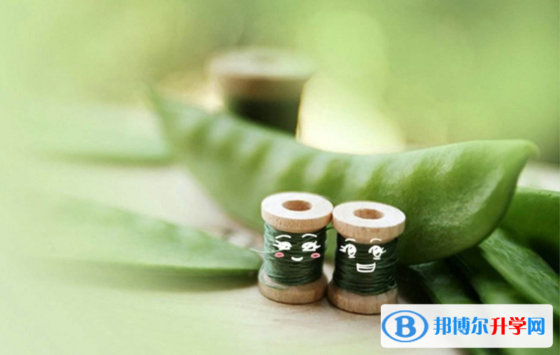 2020年樂(lè)山中考成績(jī)什么時(shí)候公布