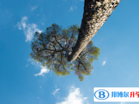 樂山中考課外閱讀