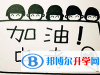 2020年樂山中考網絡服務應用平臺