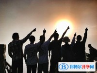 2020年樂山中考報考人數