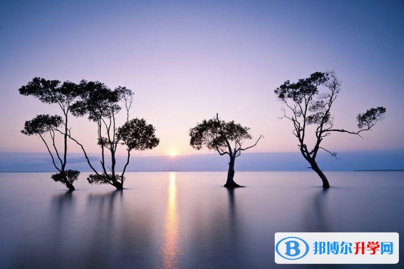 2020年樂山中考報名網址