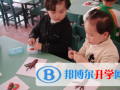 寧夏蒙特梭利國際學(xué)校2023年招生辦聯(lián)系電話