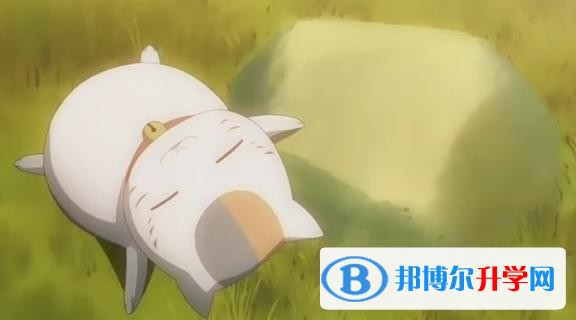 2020年眉山中考錄取報(bào)名網(wǎng)