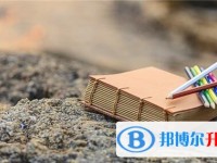 2020年樂山中考招生學校