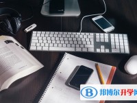 2020年樂山中考應對策略