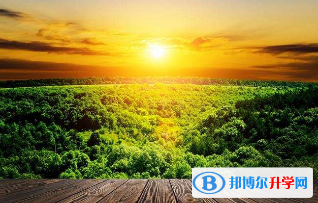 2020年眉山中考網上報名模擬