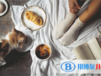 2020年眉山中考網絡應用平臺