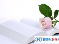 2020年樂山中考招生線