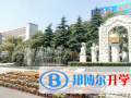 上海金蘋果雙語學校國際部2023年學費、收費多少