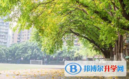 重慶第八中學國際部2023年報名條件、招生要求、招生對象