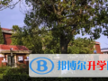 格瑞思天津校區2023年招生計劃