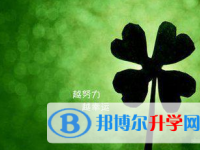 2020年遵義中考報(bào)名自薦信怎么寫