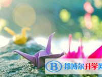 2020年畢節中考志愿填法