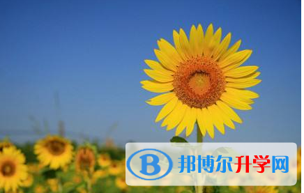  2020年畢節中考重點線上線率