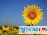 2020年畢節中考重點線上線率