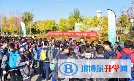 北京中芯學校網站網址