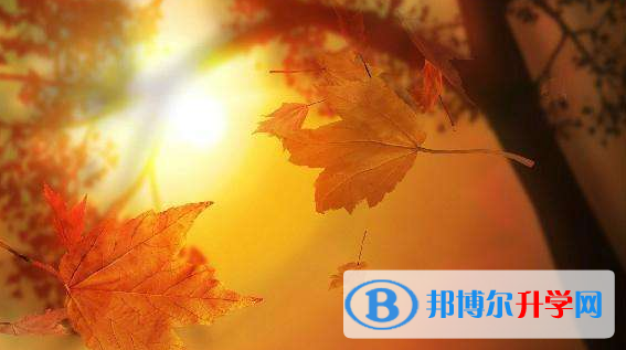 2020年畢節中考閱卷安排