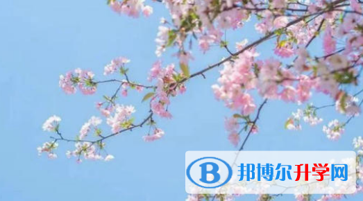 合肥新華公學2023年招生辦聯(lián)系電話