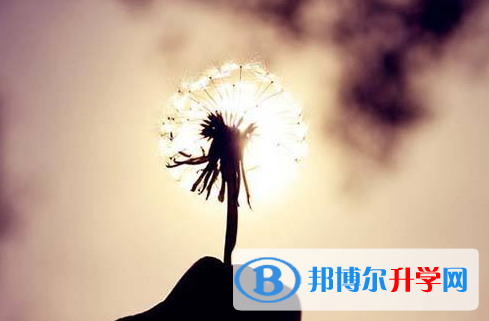 2020年畢節中考生落榜后可不可以選擇復讀