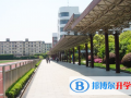 上海交通大學附屬中學國際部2023年招生計劃