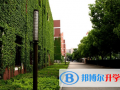 PAS藤校國際課程班常青藤校區2023年招生計劃