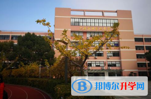 上海田家炳中學國際部怎么樣、好不好