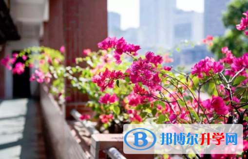 執(zhí)信中學(xué)國(guó)際部怎么樣、好不好