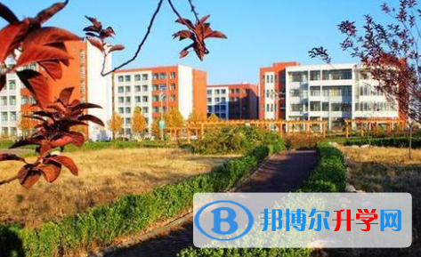 深圳曦城協(xié)同國際學(xué)校怎么樣、好不好