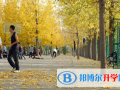 城市綠洲國際學校2023年招生辦聯系電話