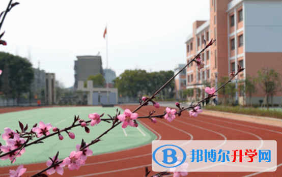 深圳觀瀾湖國際學校怎么樣、好不好