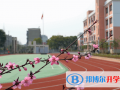深圳觀瀾湖國際學校怎么樣、好不好