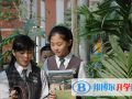 深圳寶安中英公學2023年招生計劃