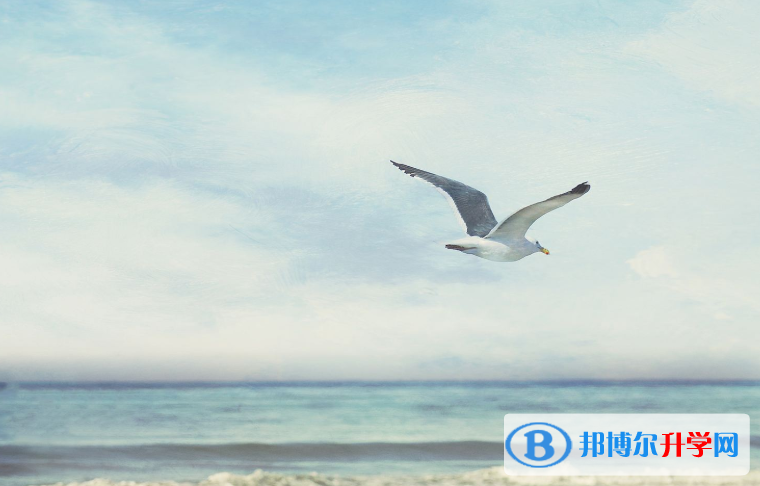 2020年六盤水中考成績(jī)查詢網(wǎng)址
