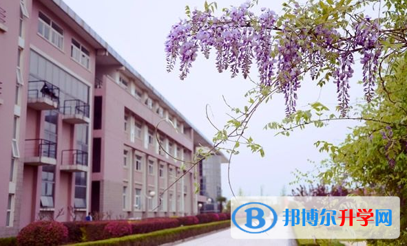 南京財經(jīng)大學(xué)國際經(jīng)貿(mào)學(xué)院怎么樣、好不好