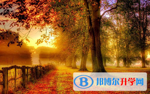  2020銅仁外地生中考怎沒成績