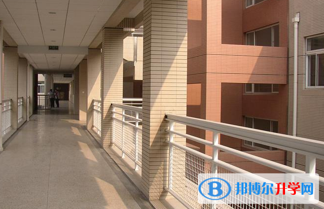 南京外國語學校2020年報名條件、招生要求、招生對象