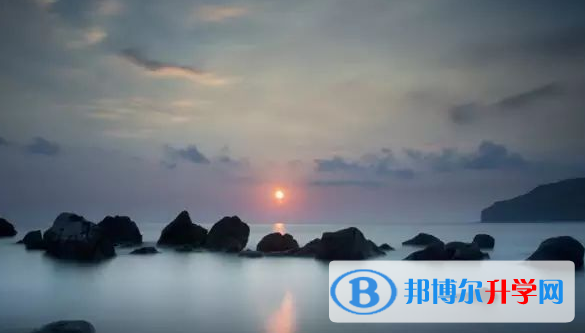 安順2020年中考網登錄