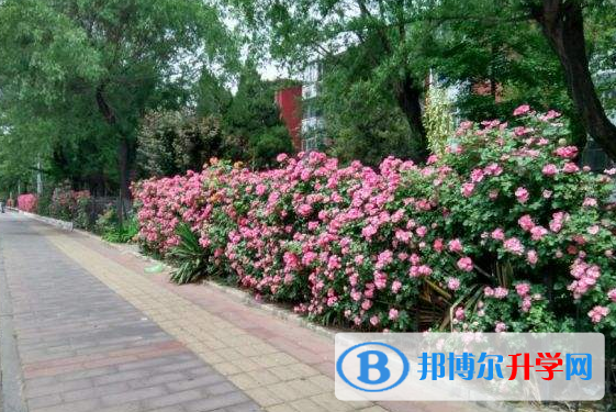 南通士通國際學(xué)校初中部怎么樣、好不好