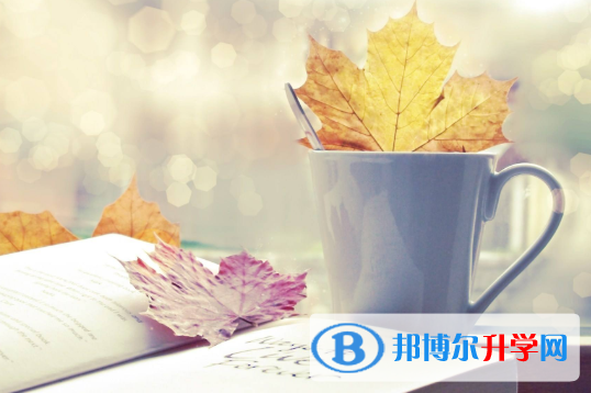  2020安順中考重點(diǎn)線(xiàn)是多少